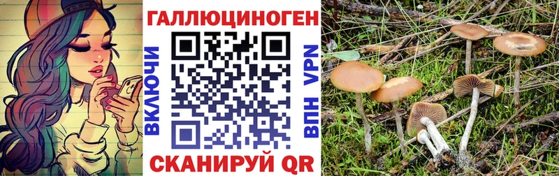 Галлюциногенные грибы прущие грибы  хочу   Анива 